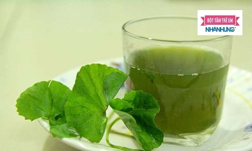 Trị rôm sảy cho người lớn bằng uống nước rau má