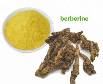 Berberine – “Khắc tinh” của bệnh chàm sữa