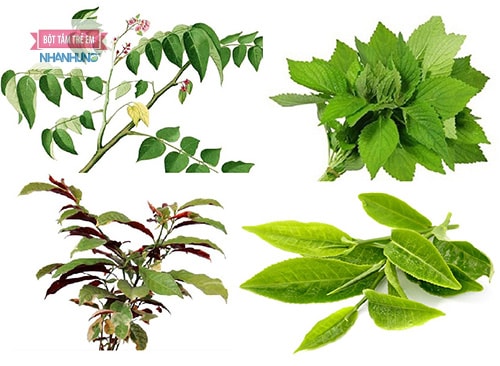 Bài thuốc chữa dị ứng hóa chất gây ngứa từ dân gian.