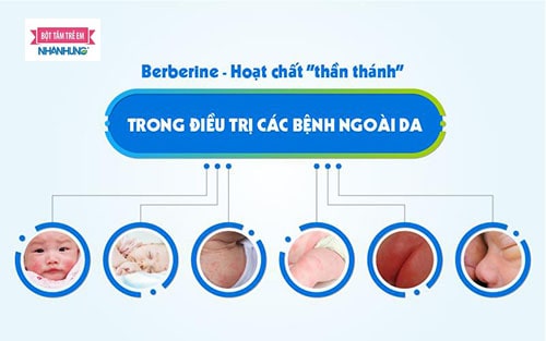 Những nghiên cứu đã chứng minh hoạt chất Berberine có tác dụng trị bệnh ngoài da cho trẻ