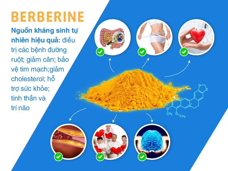 Dược Nhân Hưng nâng tầm Berberine thành “thần dược” chữa bệnh ngoài da cho trẻ