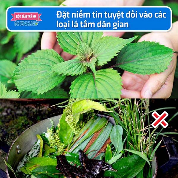 Đặt niềm tin tuyệt đối vào các loại lá tắm dân gian