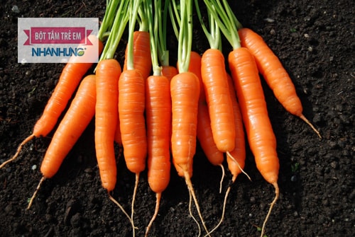 cà rốt có thành phần lưu huỳnh giúp tẩy giun cực tốt, loại bỏ giun nhanh