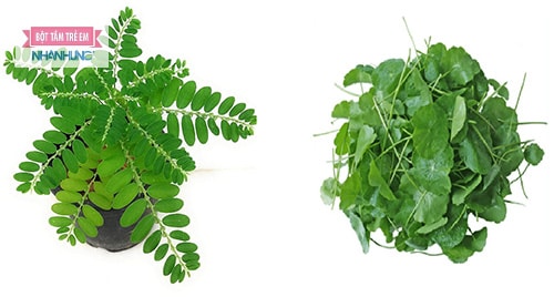 Bài thuốc chữa bệnh mề đay từ dân gian.
