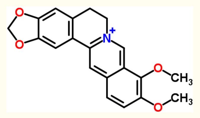 Berberine là gì