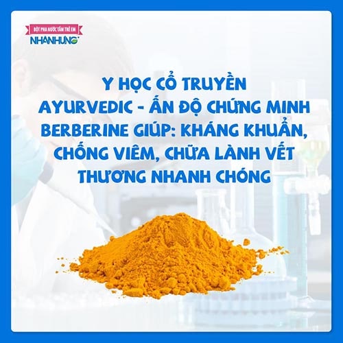 y học cổ truyền Ayurvedic – Một hệ thống y học truyền thống Hindu của người Ấn Độ, thân, vỏ thân, rễ và vỏ rễ của các loại cây giàu berberine được nghiên cứu có tác dụng kháng khuẩn, chống viêm, chữa lành vết thương 