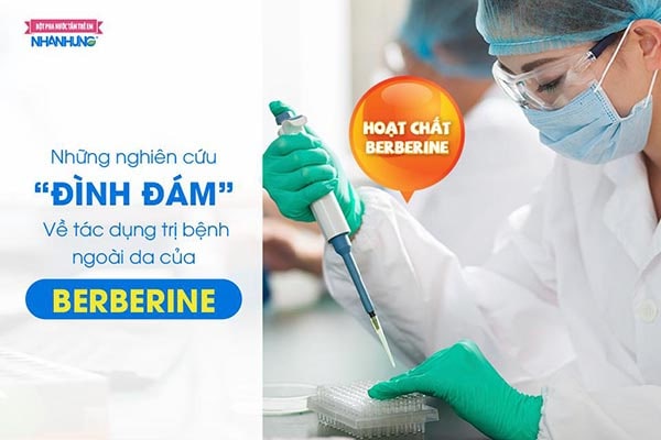 Hoạt chất Berberine