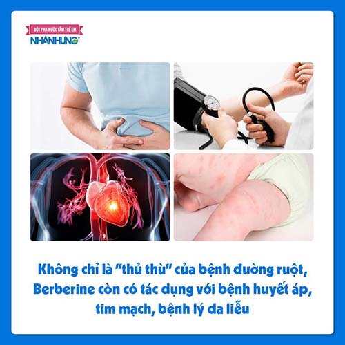 Berberine còn có tác dụng với bệnh huyết áp, tim mạch, bệnh lý da liễu.