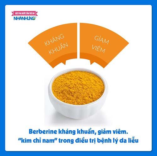 Berberine kháng khuẩn, giảm viêm - “kim chỉ nam” trong điều trị bệnh lý da liễu.