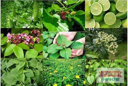 Chữa rôm sảy bằng phương pháp dân gian