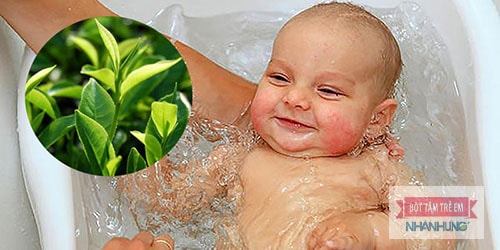Tắm lá chè xanh trị viêm da bóng nước ở trẻ em.