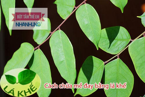 Lá khế vị hơi chát, đầu nhọn - Chữa mề đay bằng lá khế