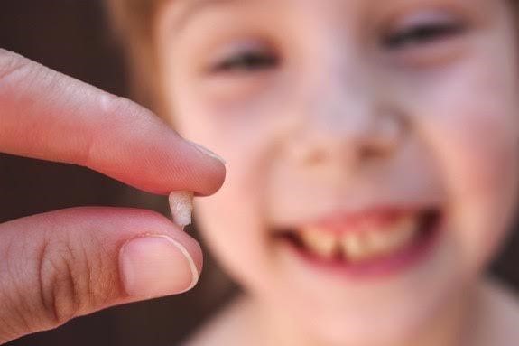 Răng sữa có thể giúp điều trị bệnh hiểm nghèo hiệu quả.