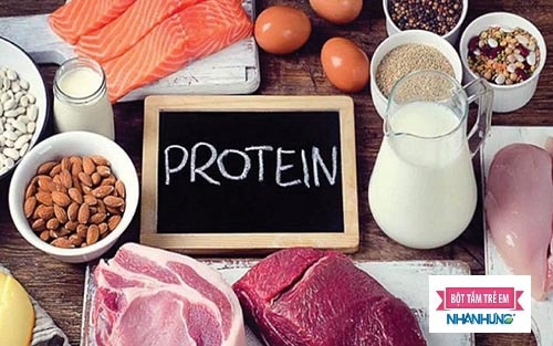 Trứng, sữa, phô mai, cá… là những thực phẩm giàu protein