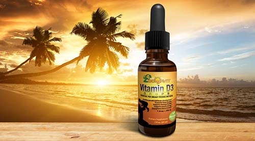 Vitamin D3 Zoomavit cung cấp nguồn Vitamin D3 dồi dào cho xương bé chắc khỏe