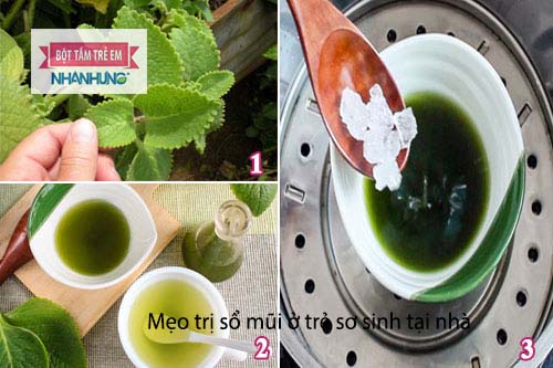 Dùng húng chanh hấp cách thủy với đường phèn uống trị sổ mũi cho bé rất tốt