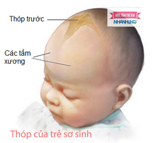 Thóp của trẻ sơ sinh
