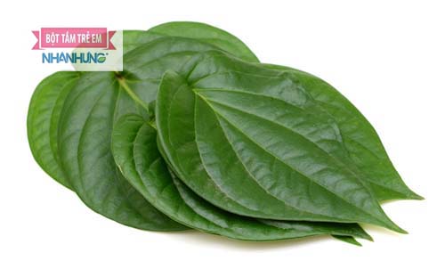  Chữa viêm da cơ địa ở trẻ bằng lá trầu không.