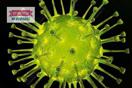 Nguyên nhân lây nhiễm thủy đậu là do virus Varicella gây ra