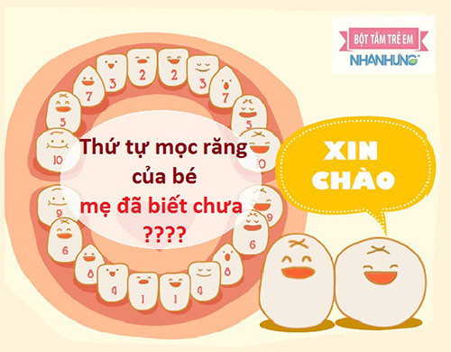 Thứ tự mọc răng ở trẻ nhỏ chính xác nhất.