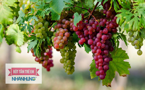 Quả nho có chứa nhiều vitamin B1, B2 và B6.