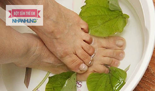 Lá trầu không chứa chất kháng sinh tự nhiên nên được dùng để sát khuẩn, rửa vết thương