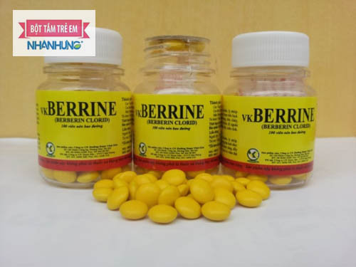 Berberine – “người hùng” của dịch lỵ từ 46 năm trước