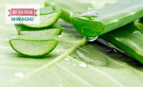 Nha đam có tác dụng kháng viêm, làm dịu da khu vực mụn nước ở chân