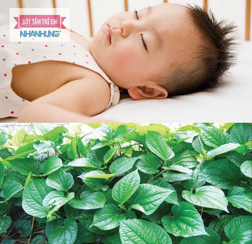 Lá lốt ăn trực tiếp hoặc nấu nước cho bé uống
