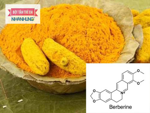 Hoạt chất Berberine được coi là thần dược chữa bệnh