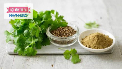 Tinh dầu Mùi được chiết xuất từ rau, hạt mùi