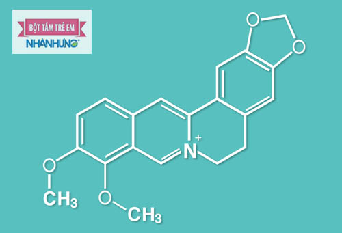 Cấu trúc của Berberine