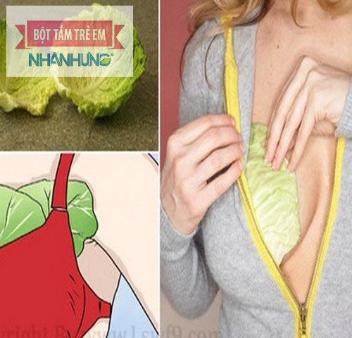 Đắp lá bắp cải lên bầu ngực cũng là cách làm mất sữa nhanh chóng