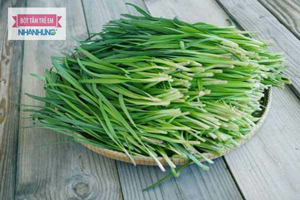 Lá hẹ chữa mề đay cấp hiệu quả