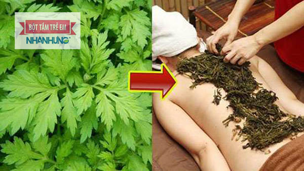 Lá ngải cứu có tác dụng giải độc, điều trị triệu chứng nổi mề đay