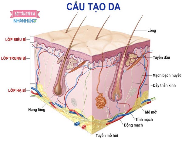Cơ chế tác động của Bột tắm Nhân Hưng lên mụn nhọt