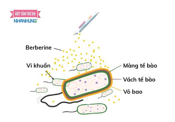 Tác dụng của Bột tắm Nhân Hưng trong điều trị chàm sữa ở trẻ