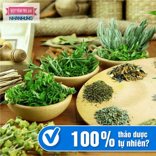 Berberine được chiết xuất từ cây Hoàng liên trở thành “linh hồn” của Bột tắm Nhân Hưng