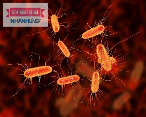 Vi khuẩn Ecoli – thủ phạm gây nhiễm khuẩn đường ruột ở trẻ.