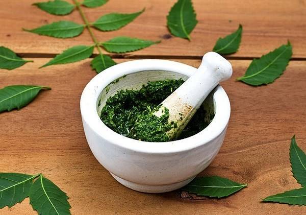 Sai lầm khi đắp lá hoặc tắm cho bé làm cho nốt mụn các bị nhiễm trùng, viêm nhiễm nặng hơn do trong lá chưa loại bỏ hoặc chứa độc tố