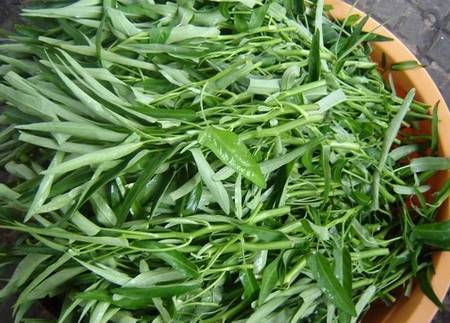 Rau muống có thể tự trồng hoặc mua tại các siêu thị để đảm bảo vệ sinh, an toàn cho bé