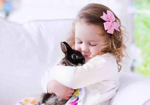Tuyệt đối để trẻ tránh xa các loại côn trùng, vật nuôi