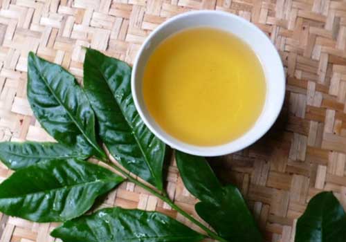 Chè xanh có nhiều tác dụng hữu ích với sức khỏe