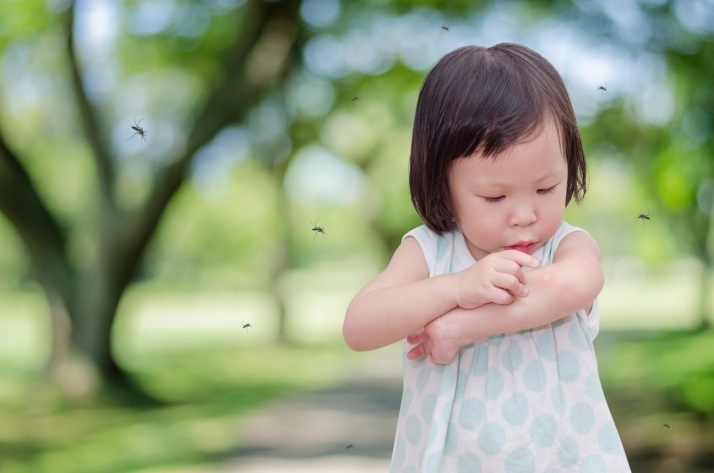Trẻ nhỏ là đối tượng yêu thích của các loại côn trùng