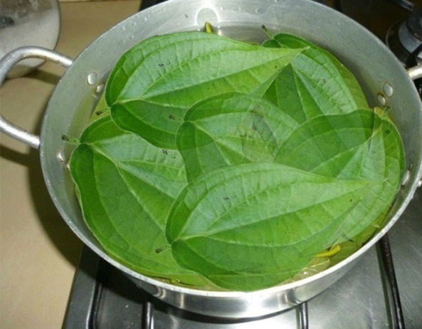 Nước lá trầu không giúp trị hăm tã cho trẻ