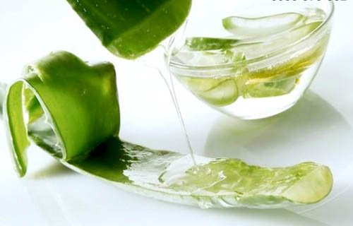 Nha đam không chỉ làm đẹp da mà còn giúp trị mụn nhọt