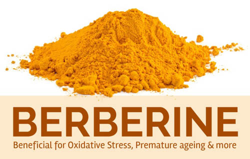 Berberine có rất nhiều tác dụng, trong số đó có trị mụn nhọt ở trẻ