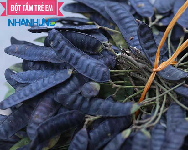 Bồ kết nấu với gừng tươi, chè xanh thành bài thuốc trị chốc lở hiệu quả cho bé