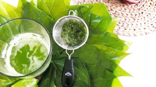 Vò nát lá trầu không
