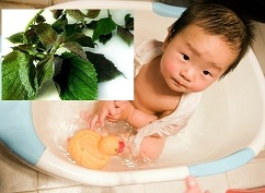 Sử dụng lá tắm để điều trị chàm sữa khiến da bé bị kích ứng